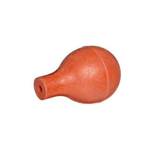 BULBS-TEAT.jpg