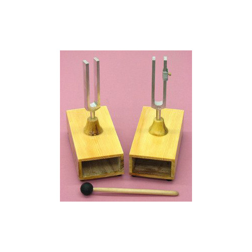 Tuning-Fork-Pair-on-box-Beats-Apparatus.jpg